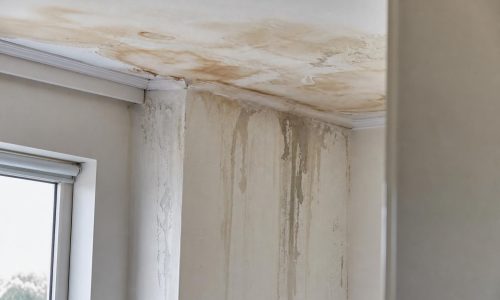 Midrand-Property-Survey-Shows-Increased-Demand-for-Professional-Waterproofing-Following-Storm-Damage.jpg